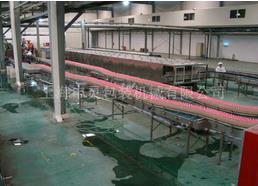 果汁飲料空瓶包裝生產(chǎn)線的設備化一體多用